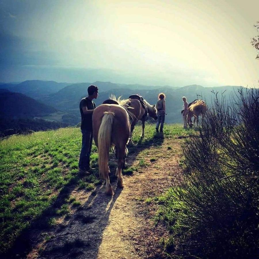 Rioveggio Monte Termine Country House المظهر الخارجي الصورة