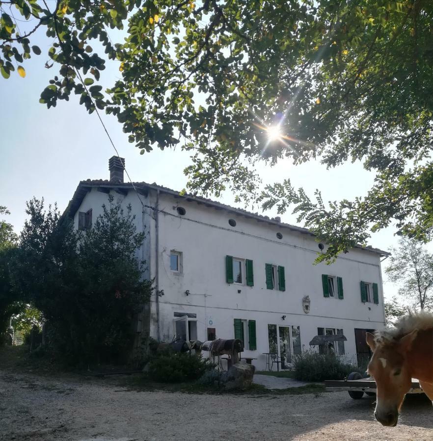 Rioveggio Monte Termine Country House المظهر الخارجي الصورة